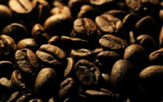 From Beans to Brews: Epic Coffee Adventures Await You!